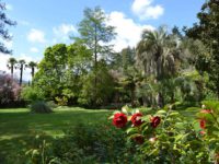 Jardins el Roquer: A springtime meeting place