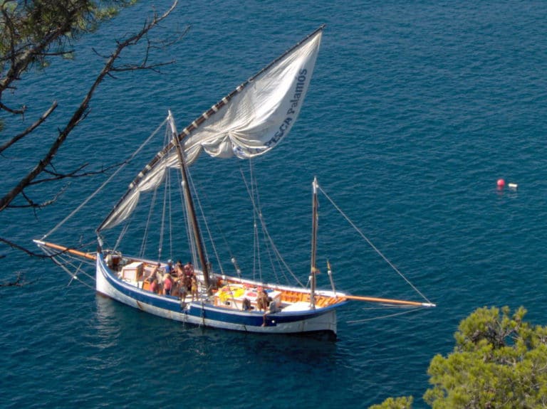 Llaut Rafael de Tela Marinera