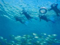 Medaqua opens the season with new routes