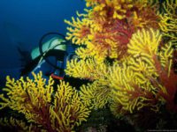 Activities for active teams who want to enjoy nature