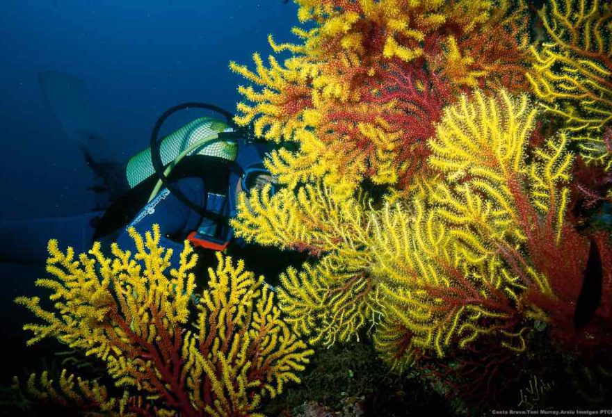 Actividades para equipos con ganas de disfrutar de la naturaleza