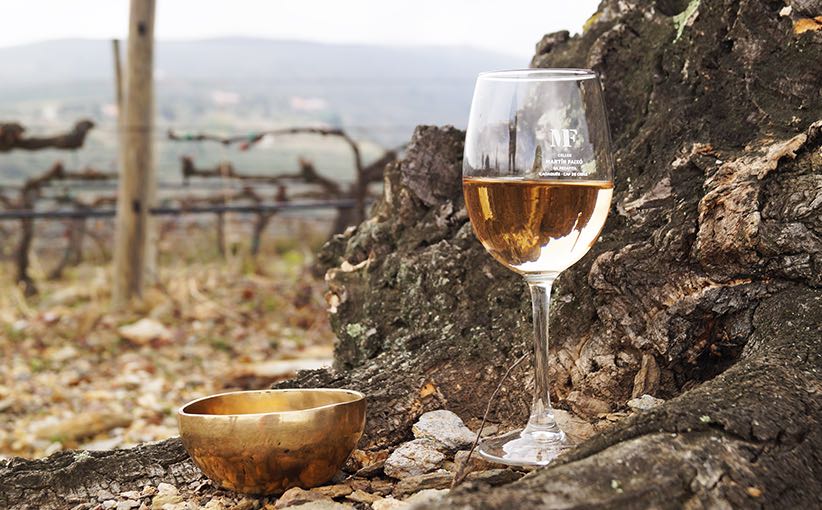 Creatividad, vino y naturaleza