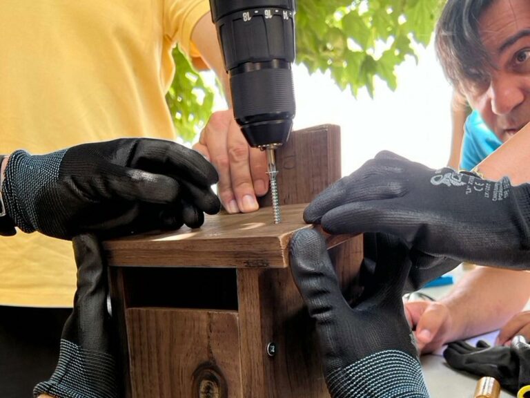 Humanside Activitat Sostenible Teambuilding RSC