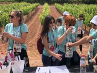 Local food and wine experiences